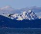 14 Mouette, Kenai Fjords NP