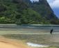 26 Vacancier à Tunnels beach, Kauai