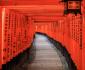 11 Sanctuaire Fushimi Inari