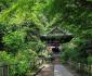 23 Jardins près de Kamakura